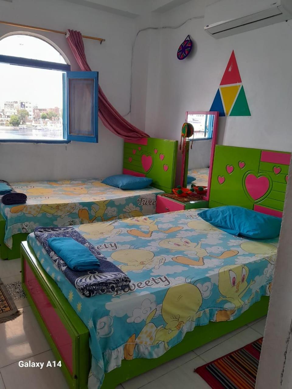 Nile View Rana Nubian Guest Houes Hotel Assuan Exterior foto